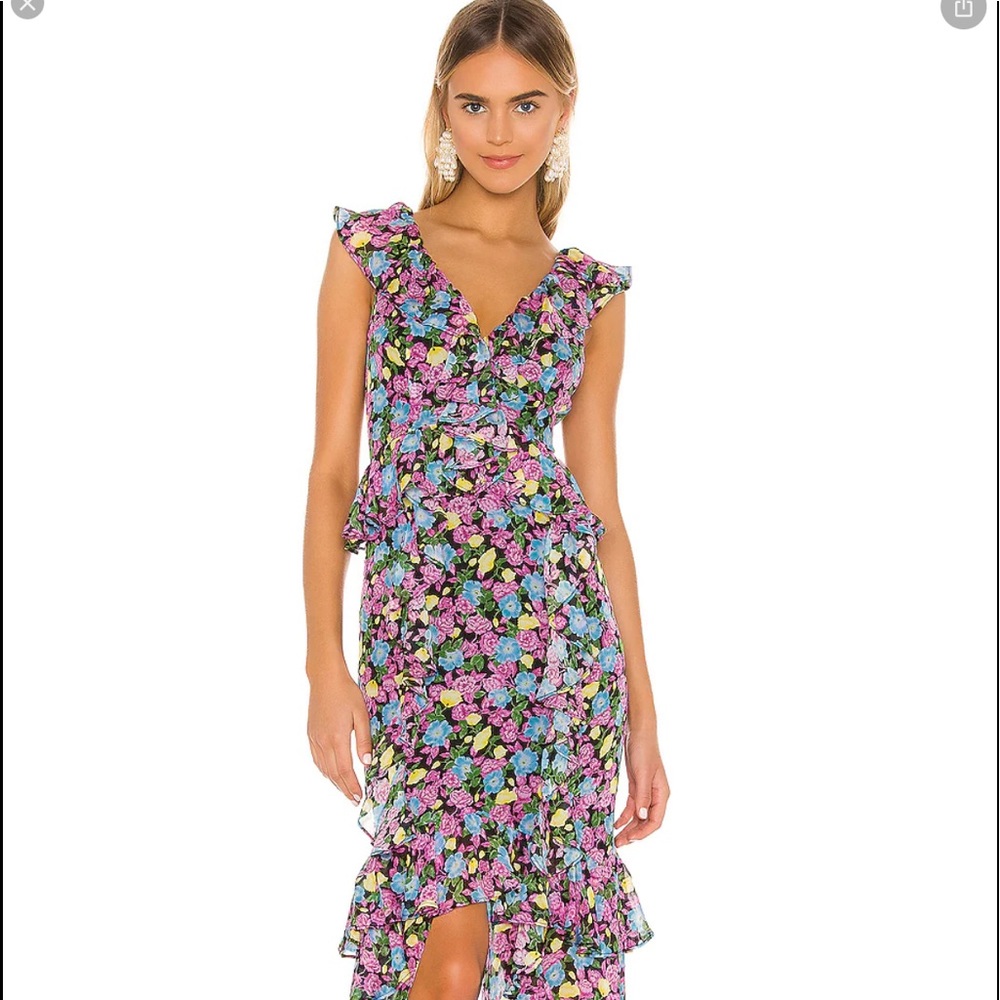 Amur evita dress.  Brand new with tags Size 2